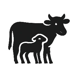 Quality Raised Beef and Lamb